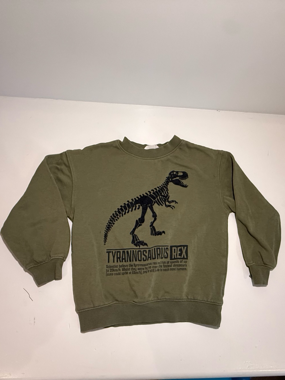 H&M Olive Green Sweatshirt with Black T-Rex Skeleton Graphic 5/6T